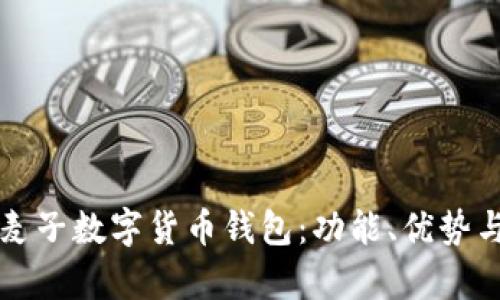 全面解析麦子数字货币钱包:功能、优势与使用指南