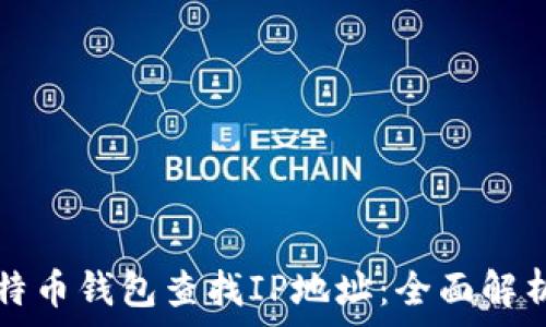 如何通过比特币钱包查找IP地址:全面解析与操作指南