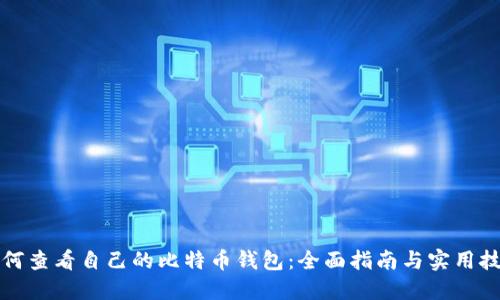 如何查看自己的比特币钱包:全面指南与实用技巧