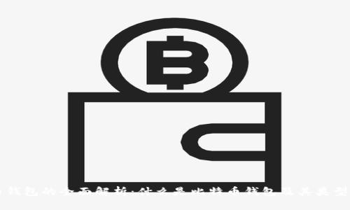 比特币钱包的全面解析:什么是比特币钱包及其类型与功能
