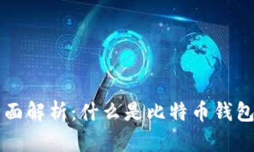 比特币钱包的全面解析:什么是比特币钱包及其类型与功能