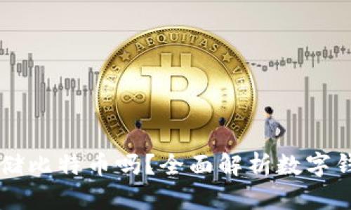 货币钱包可以存储比特币吗?全面解析数字钱包的类型与功能