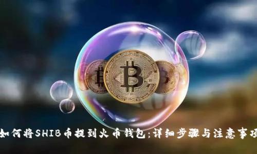 如何将SHIB币提到火币钱包:详细步骤与注意事项