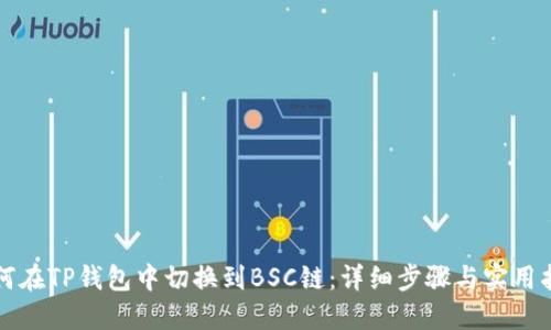 如何在TP钱包中切换到BSC链:详细步骤与实用指南