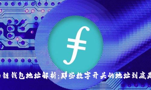 比特币链钱包地址解析:那些数字开头的地址到底是什么?