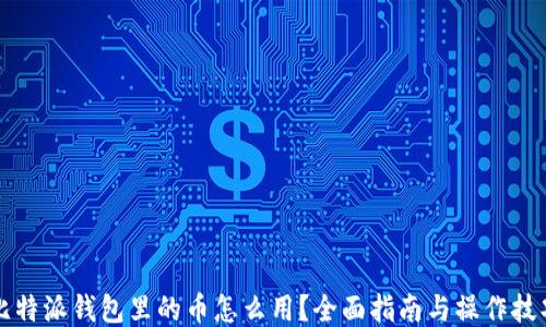 比特派钱包里的币怎么用?全面指南与操作技巧