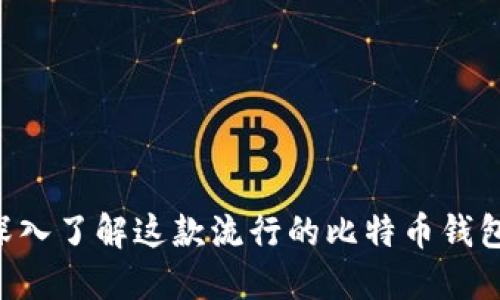 Gemini:深入了解这款流行的比特币钱包及其功能