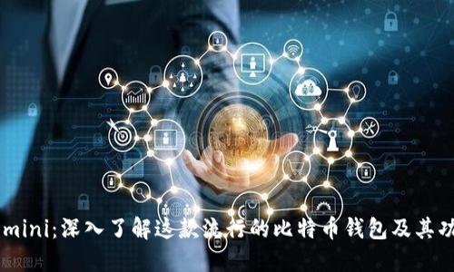 Gemini:深入了解这款流行的比特币钱包及其功能