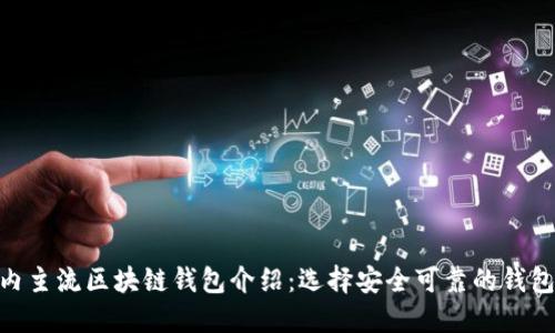 : 国内主流区块链钱包介绍:选择安全可靠的钱包服务
